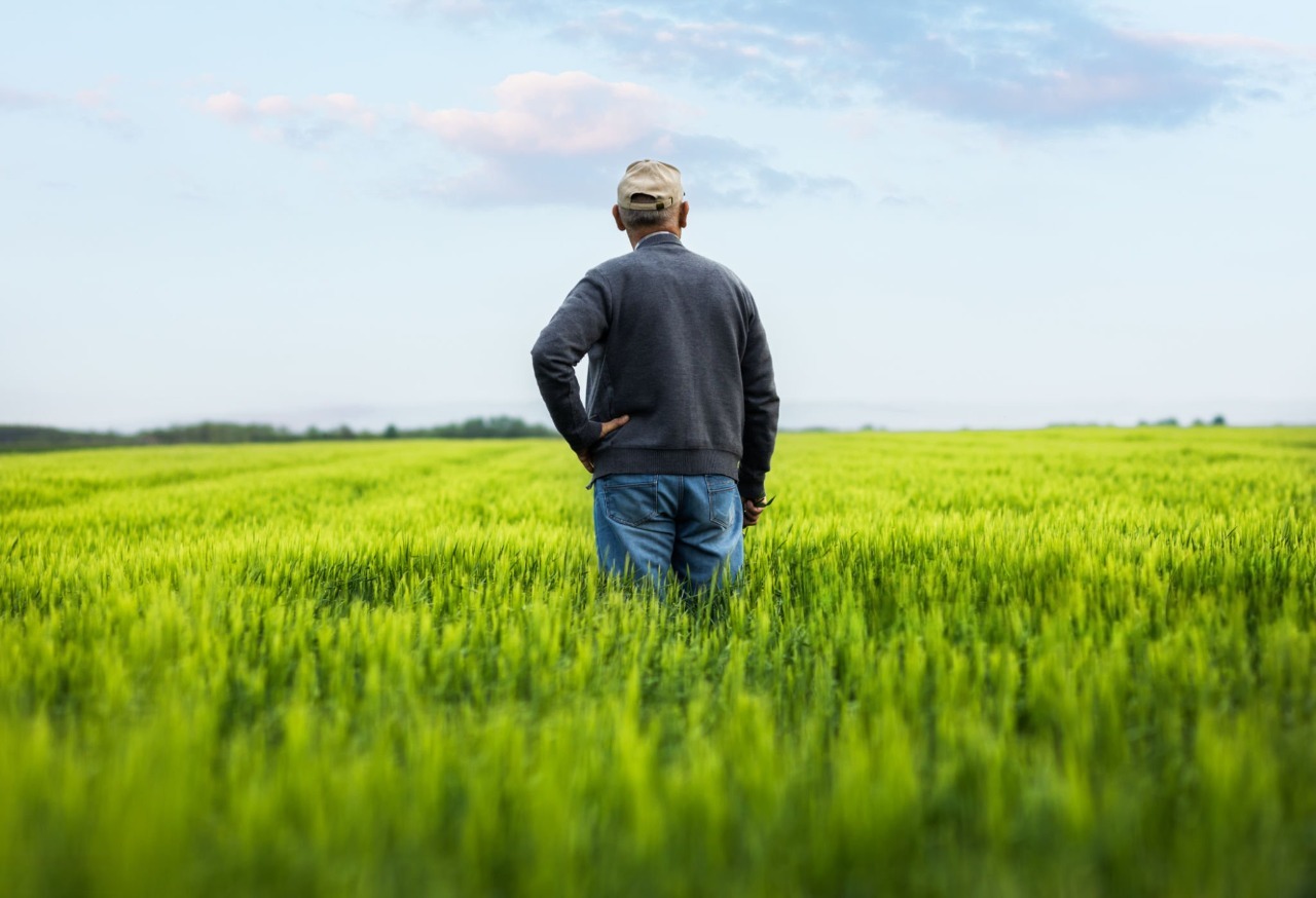 fertilizer demand agriculture